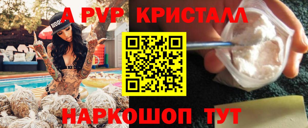 A PVP СК Подольск