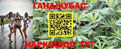 трава Пугачёв