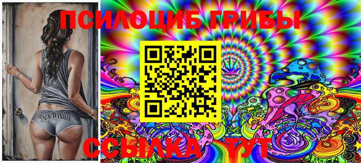 Подольск  Галлюциногенные грибы Magic Shrooms  Вход с VPN 